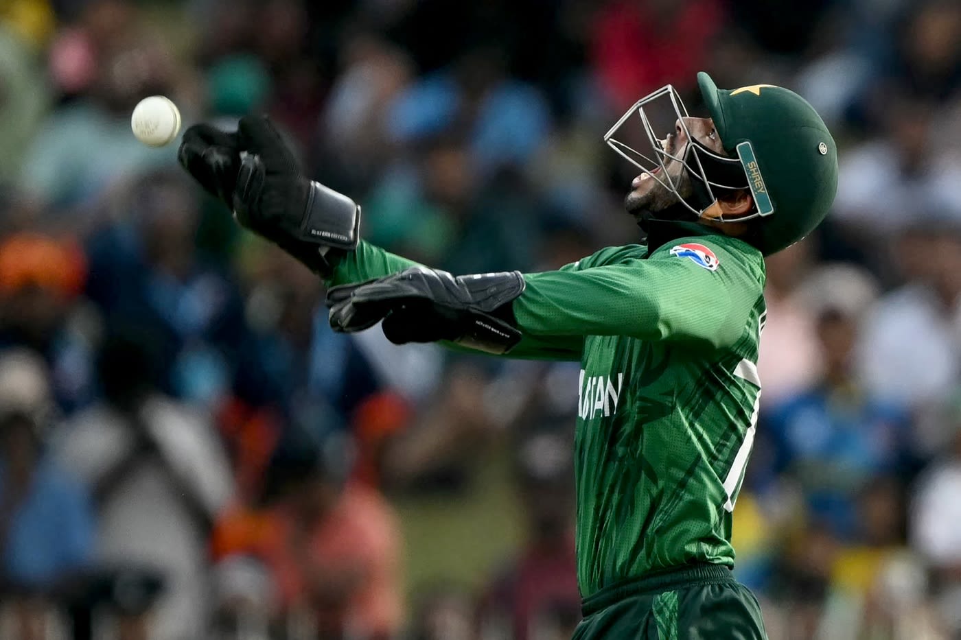 Usman Khan celebrates a catch, cricket fielding wallpaper pic
