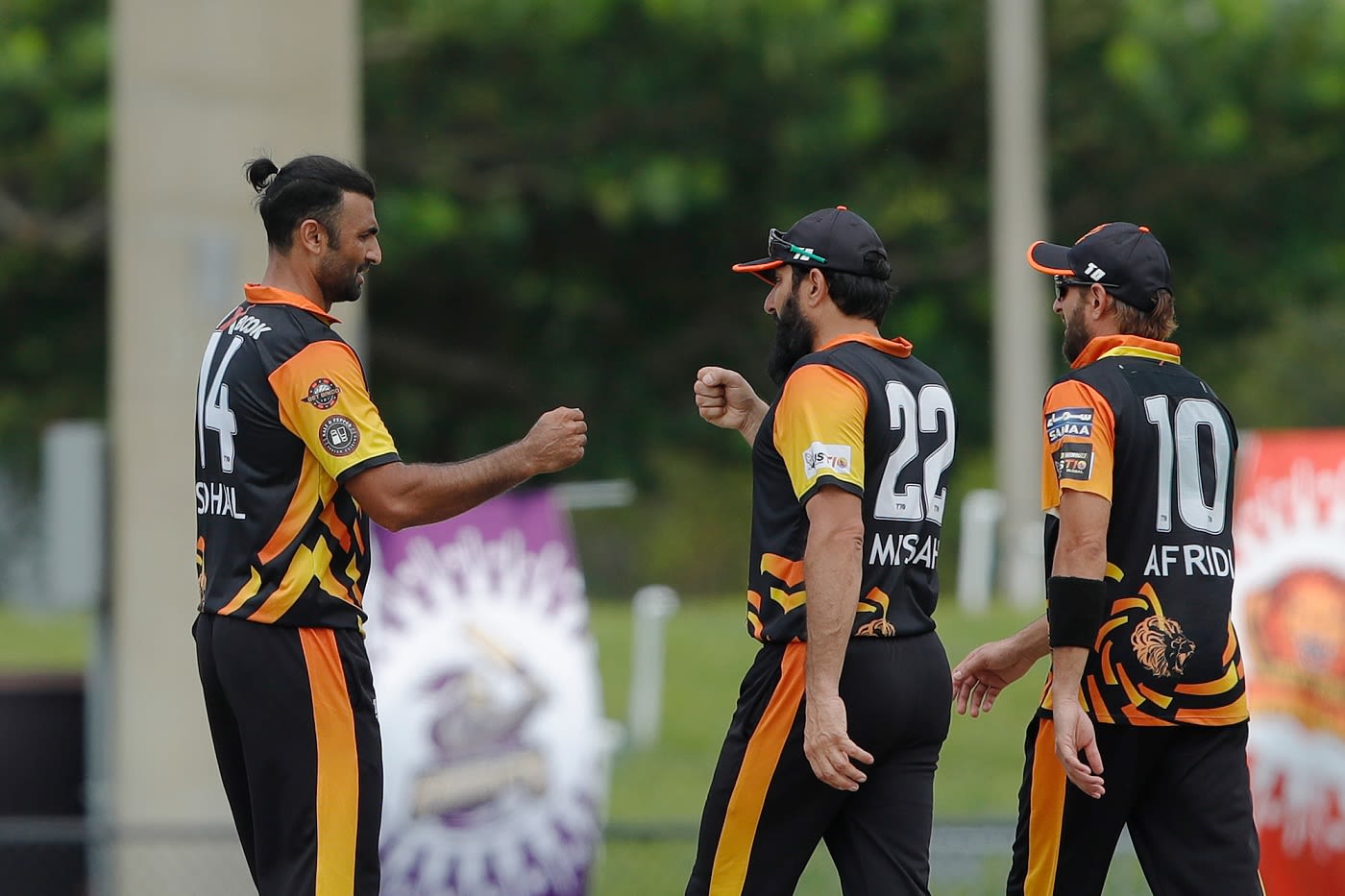 Sohail Khan's five-for wasn't enough for New York Warriors to clinch the title