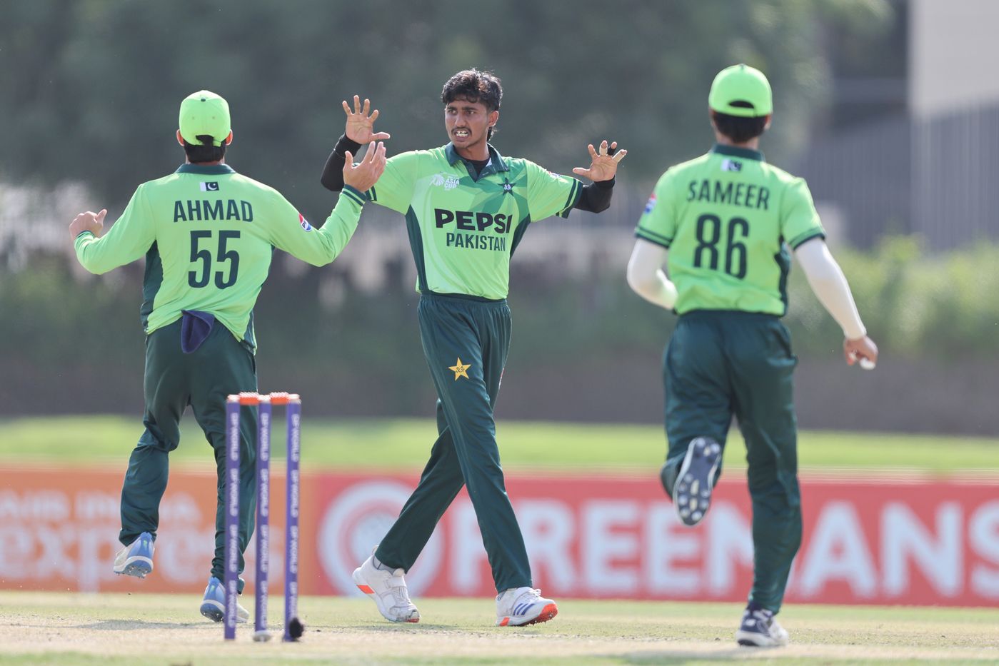 Ali Raza celebrates a wicket