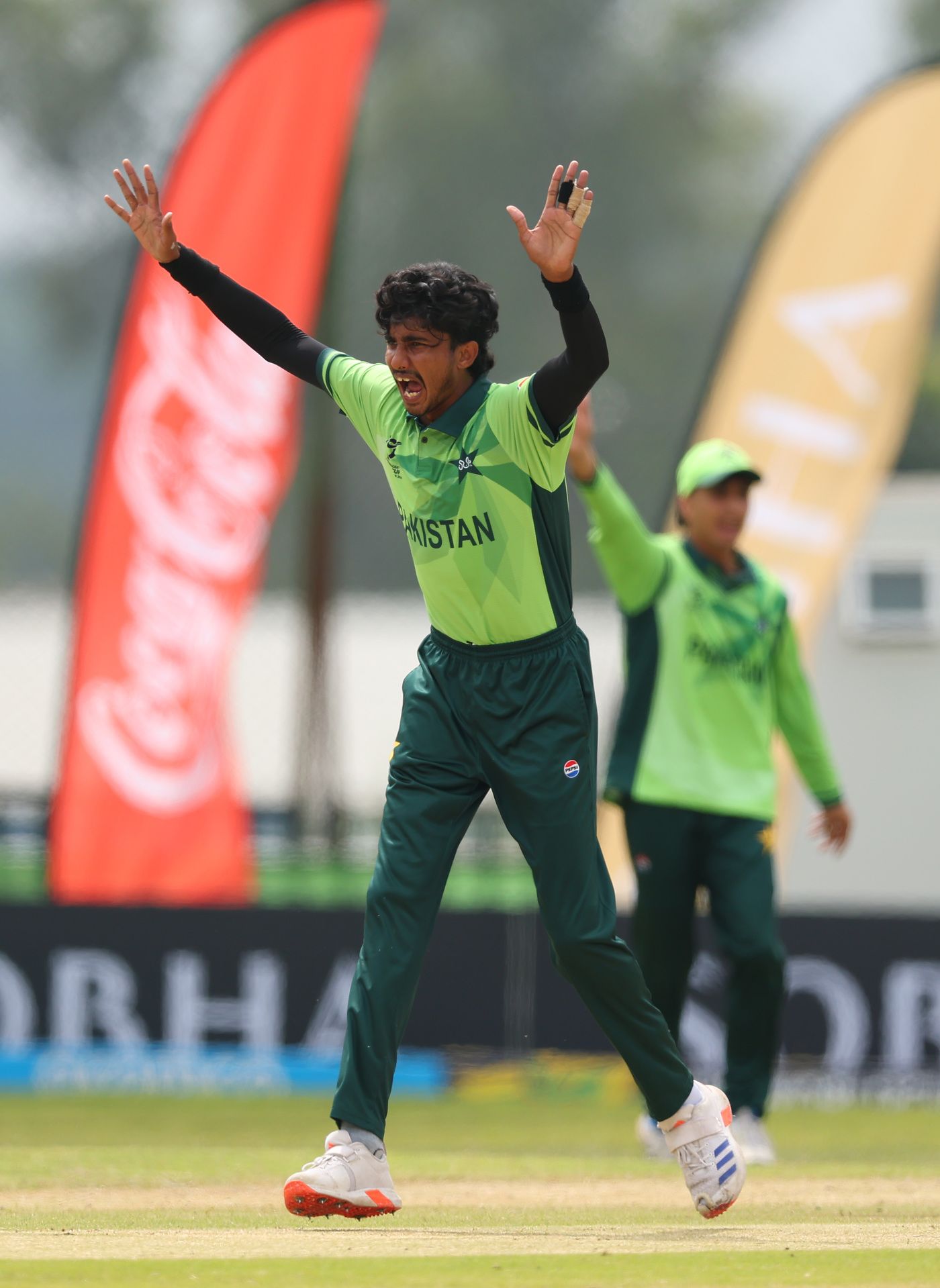 Ali Raza appeals for a wicket